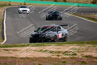 media/Feb-25-2024-Speed Ventures (Sun) [[b9a2a97a4d]]/Mustang Drivers Club/Session 3 (Turn 2)/